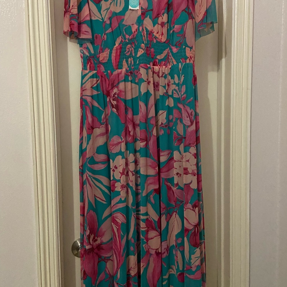 Maggy London Pink and Teal Floral Maxi Dress